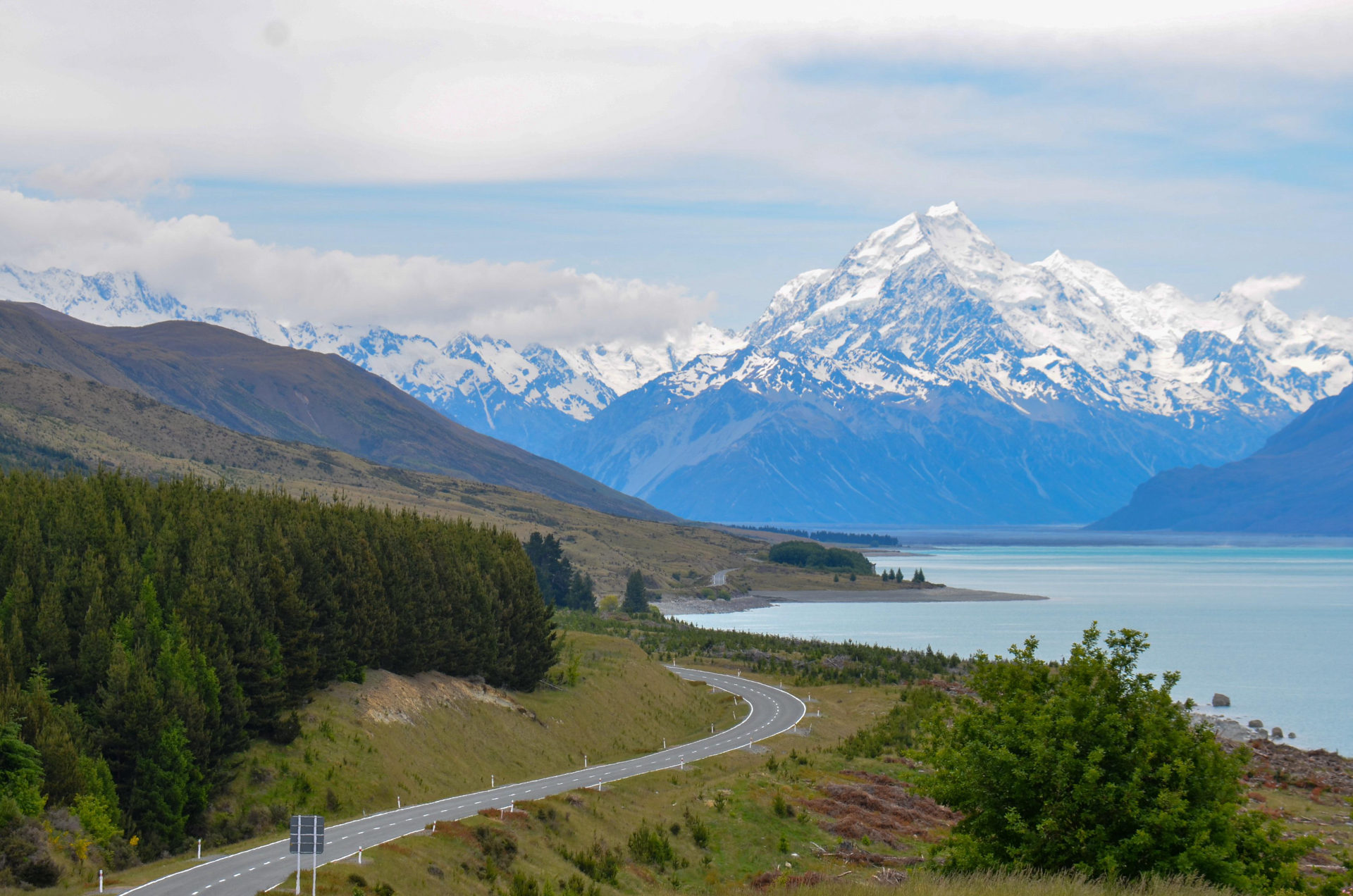 Made in New Zealand